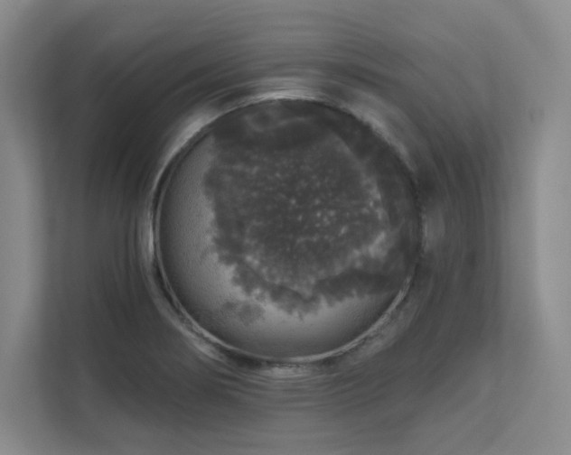 X0000111641274200907171539