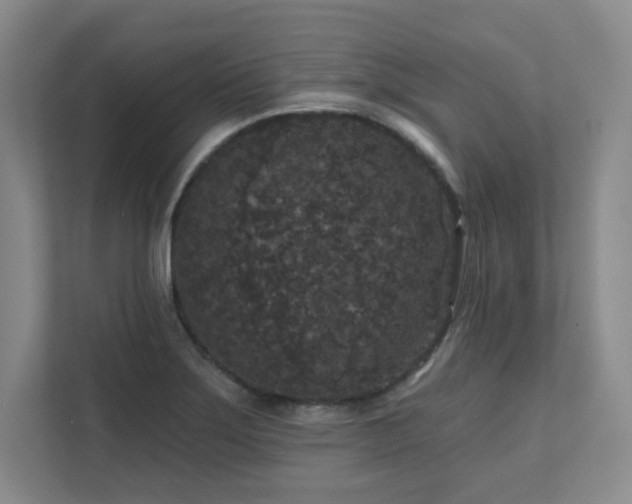 X0000111641275200907171539