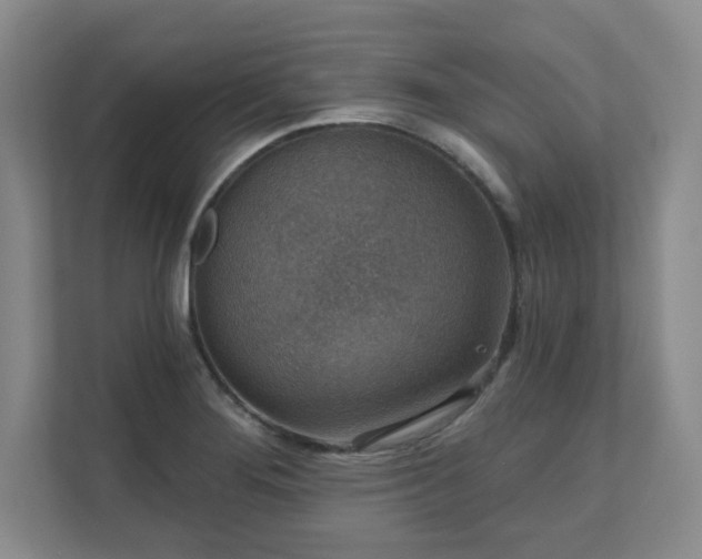 X0000111641276200907171539