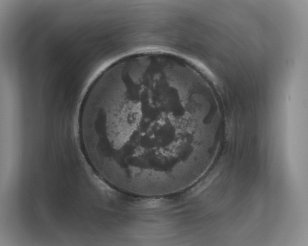 X0000111641279200907171539