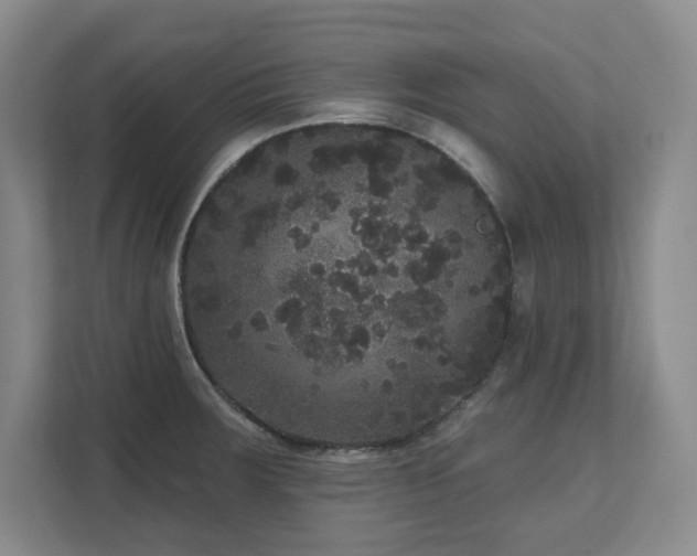 X0000111641283200907171539
