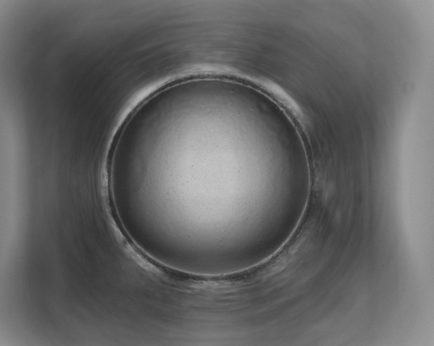 X0000111641287200907171539