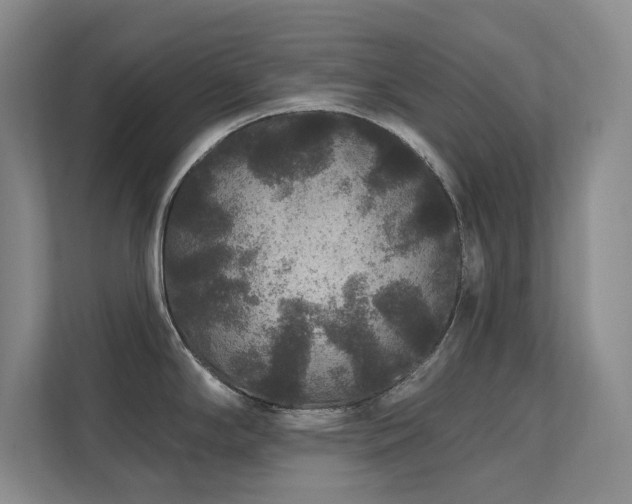 X0000111641294200907171539