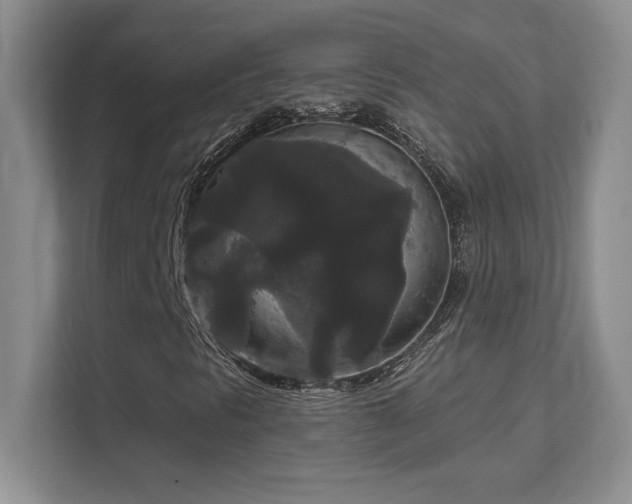 X0000111641297200907171539