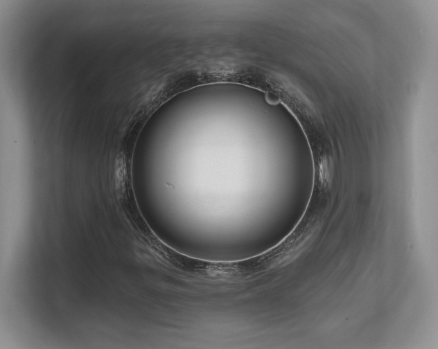 X0000111641299200907171539
