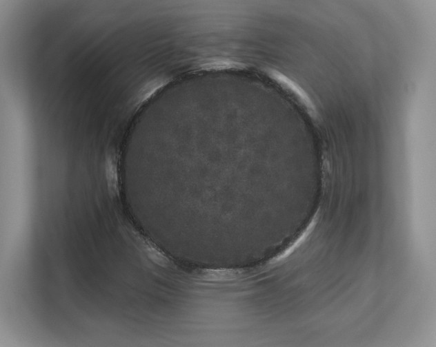 X0000111641305200907171539