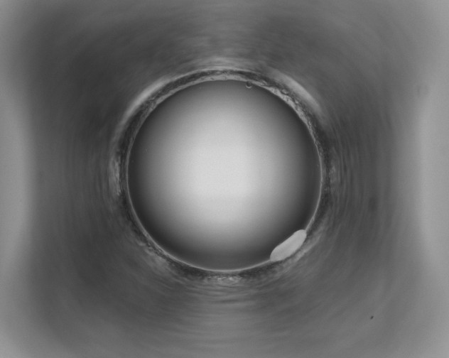 X0000111641310200907171539