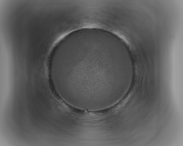 X0000111641311200907171539