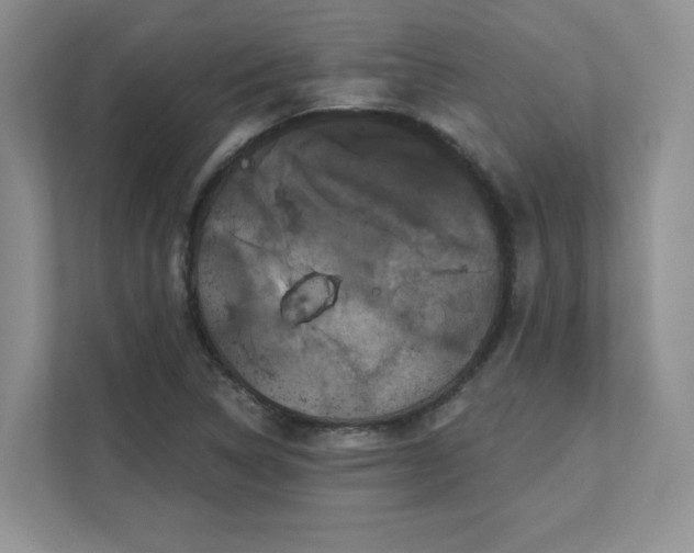 X0000111641314200907171539