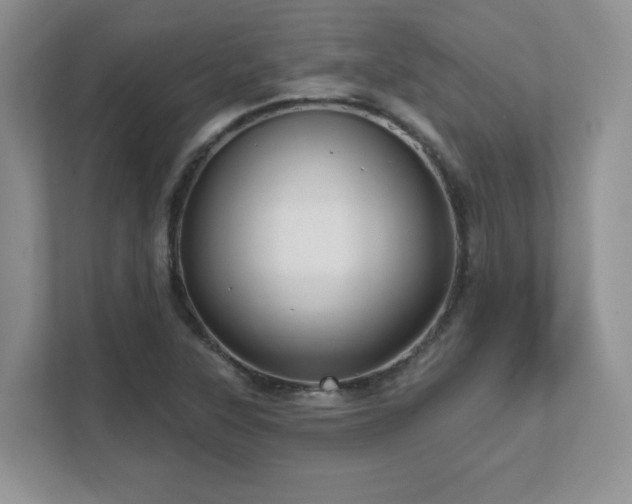 X0000111641315200907171539