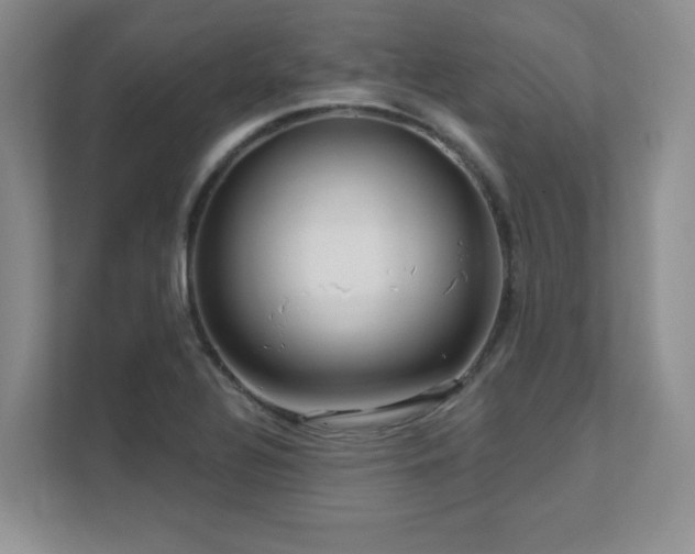 X0000111641320200907171539