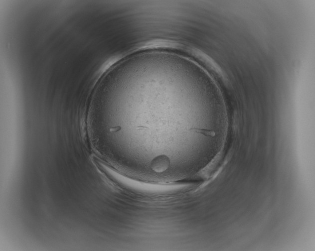 X0000111641321200907171539