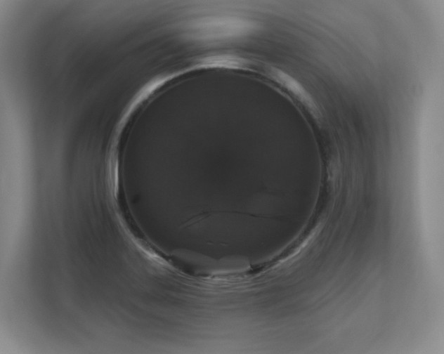 X0000111641323200907171539