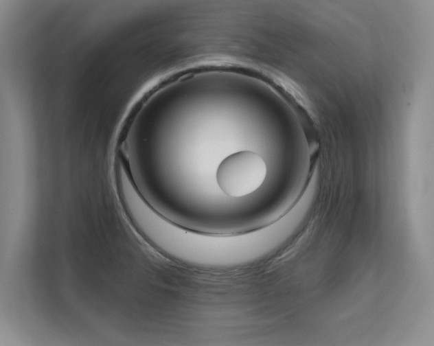 X0000111641326200907171539