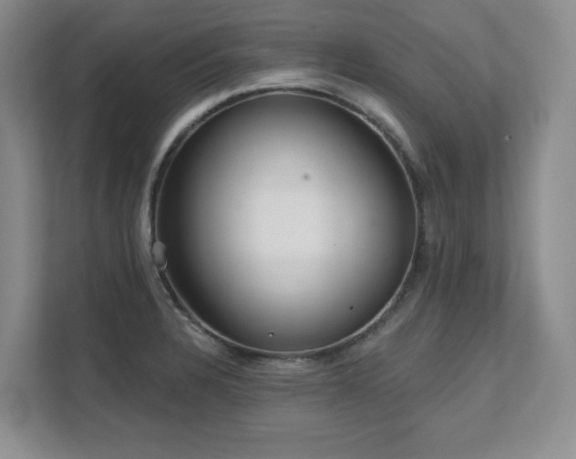 X0000111641328200907171539