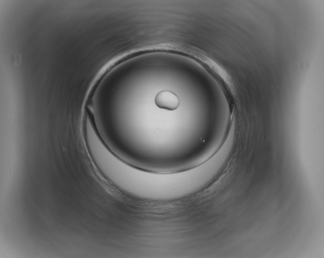 X0000111641332200907171539