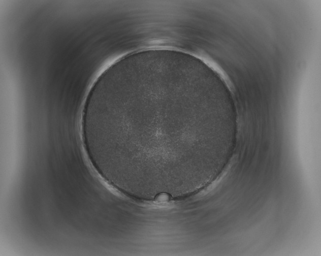 X0000111641333200907171539