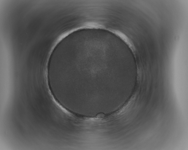 X0000111641335200907171539