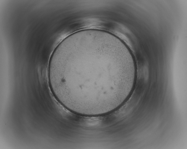 X0000111641338200907171539