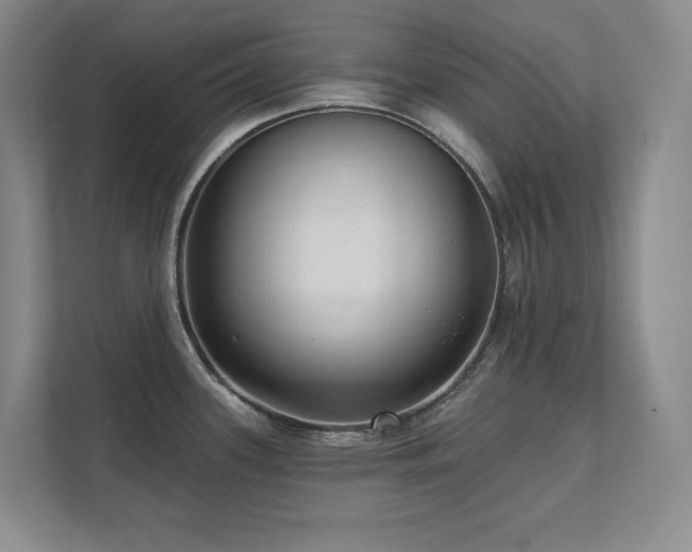 X0000111641339200907171539