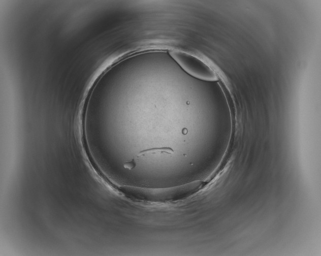 X0000111641341200907171539