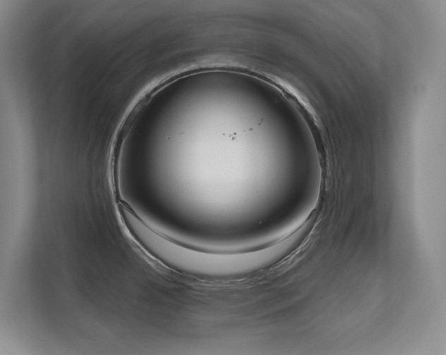X0000111641342200907171539