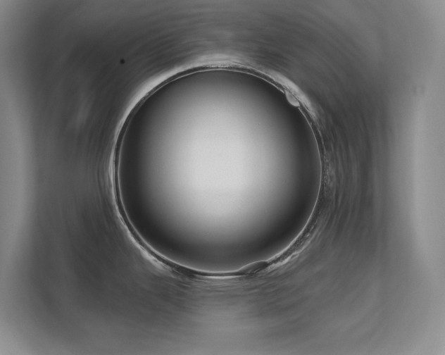 X0000111641343200907171539