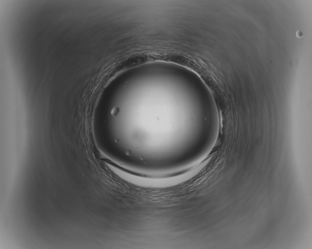 X0000111641345200907171539