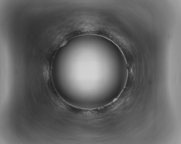 X0000111641348200907171538