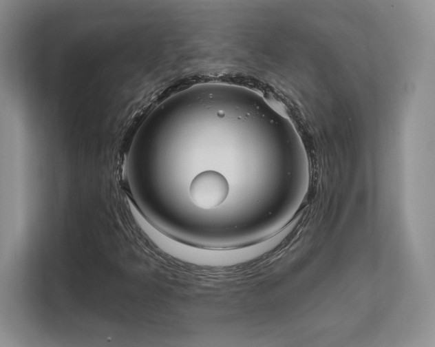 X0000111641349200907171538