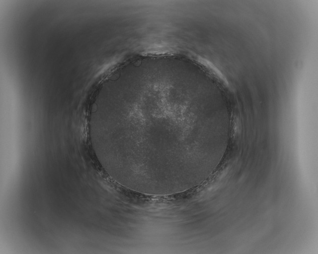 X0000111641350200907171538
