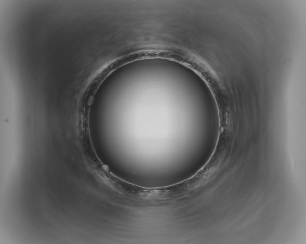 X0000111641352200907171538