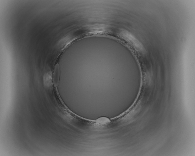 X0000111641353200907171538