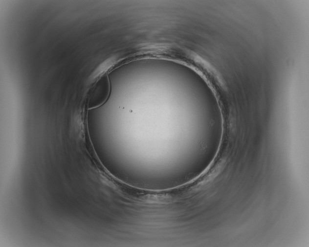 X0000111641354200907171538