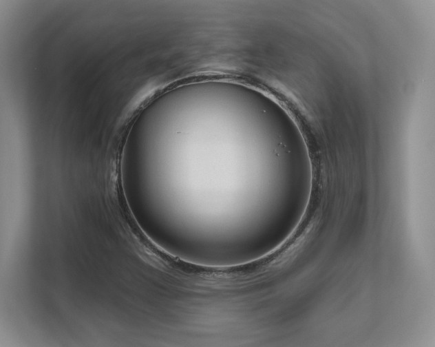 X0000111641355200907171538