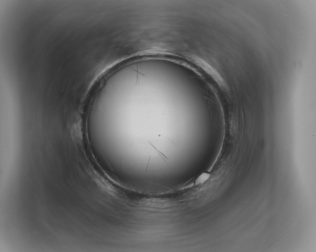 X0000111641356200907171538