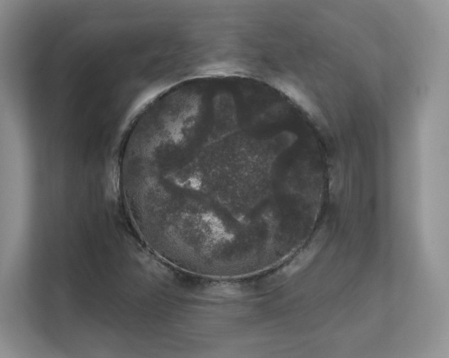 X0000111641358200907171538