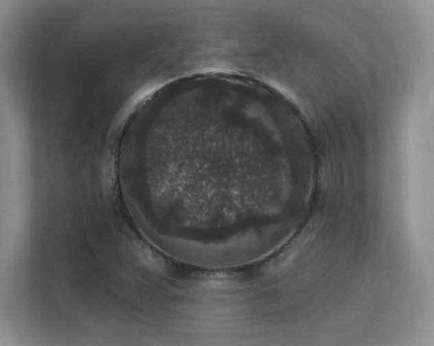 X0000111641359200907171538