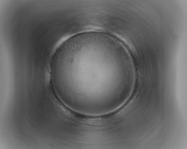 X0000111641363200907171538