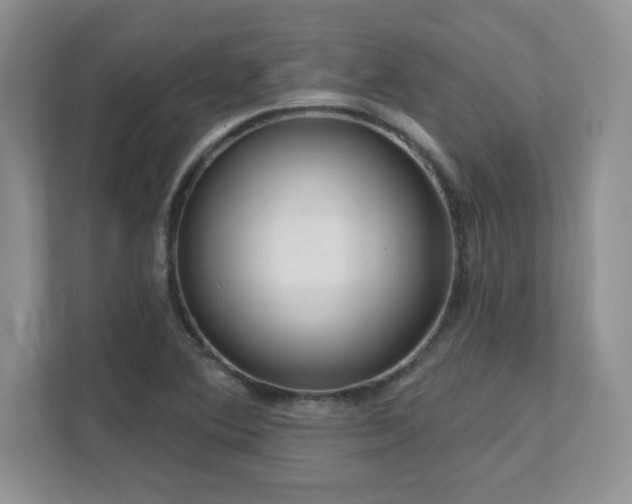 X0000111641364200907171538