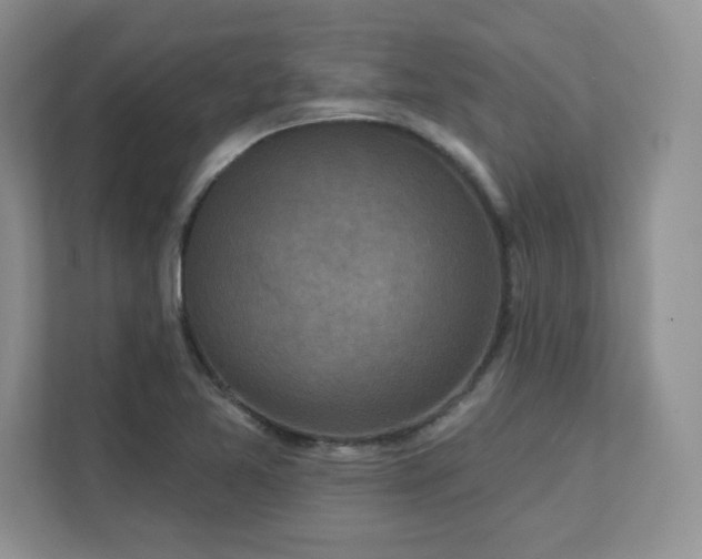 X0000111641365200907171538