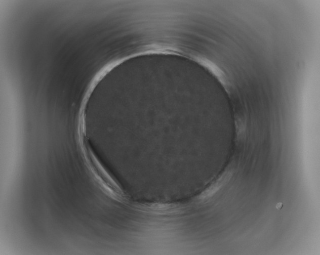 X0000111641371200907171538