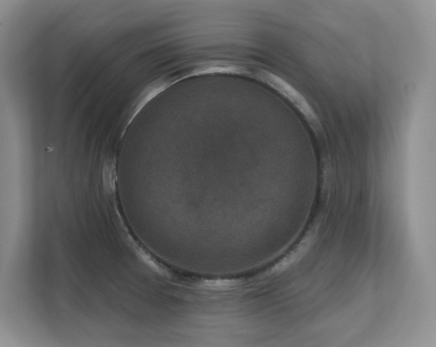 X0000111641377200907171538