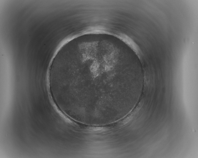 X0000111641382200907171538