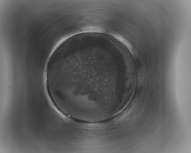 X0000111641383200907171538