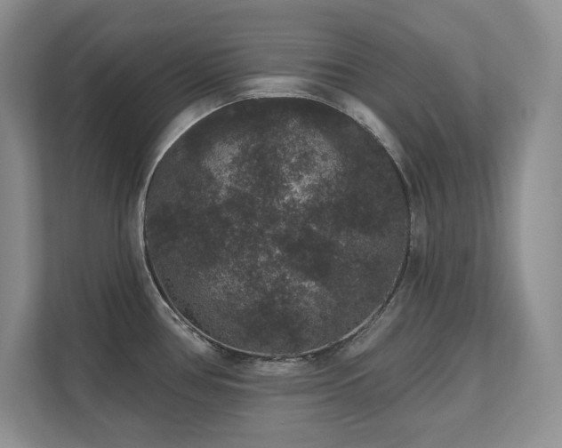 X0000111641386200907171538