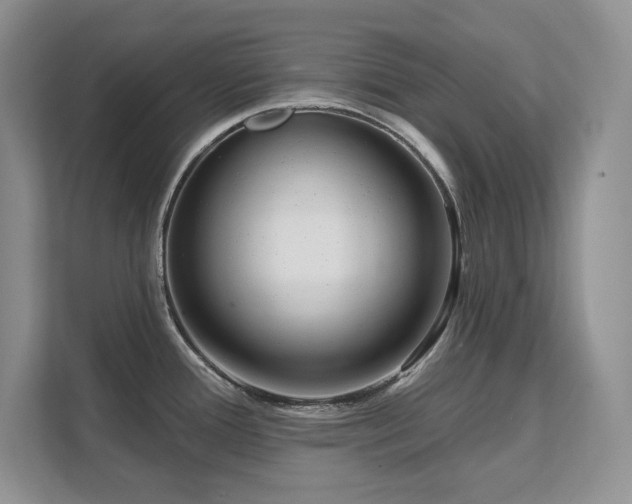 X0000111641388200907171538