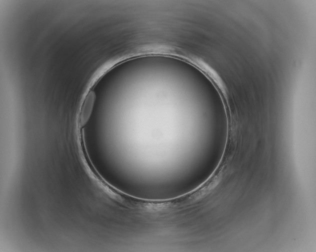 X0000111641389200907171538