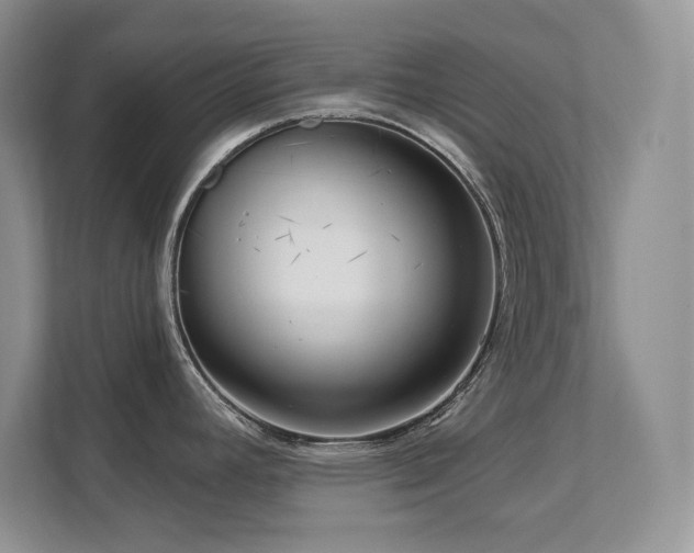 X0000111641392200907171538