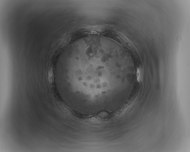 X0000111641395200907171537